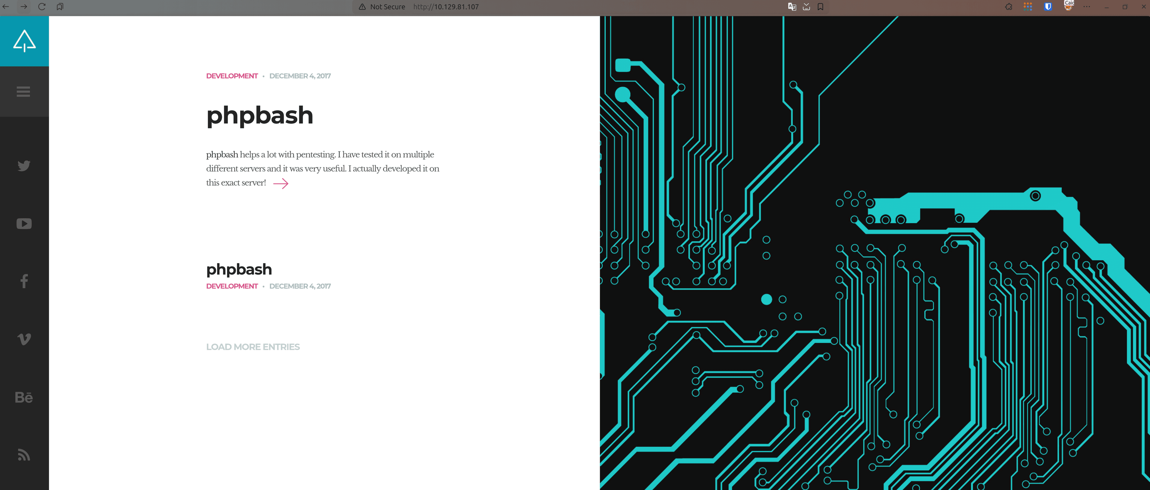 Website homepage